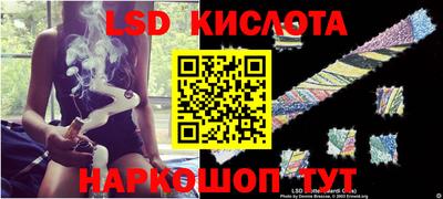 гидропоника Славгород